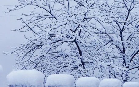 5G急診急救/急診急救大平臺天榮醫(yī)療-凍雨+雪來襲，注意出行安全！