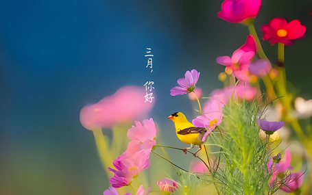 互聯(lián)網(wǎng)+院前急救/ 5G急救系統(tǒng)天榮醫(yī)療-三月您好！